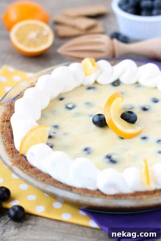 A slice of creamy lemon and blueberry pie, showing the layers of graham cracker crust, lemon cream, and blueberries, topped with whipped cream.