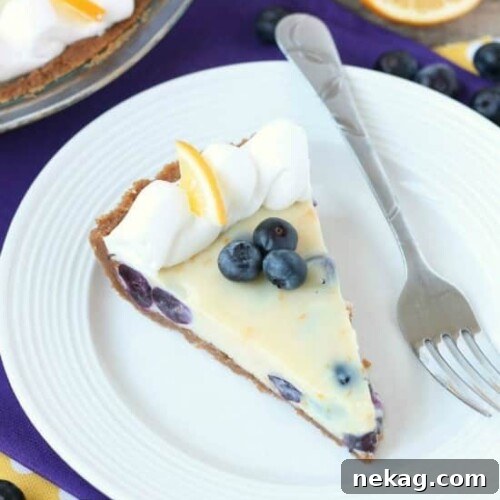 Close-up of a slice of creamy lemon and blueberry pie with fresh blueberries and whipped cream on top.