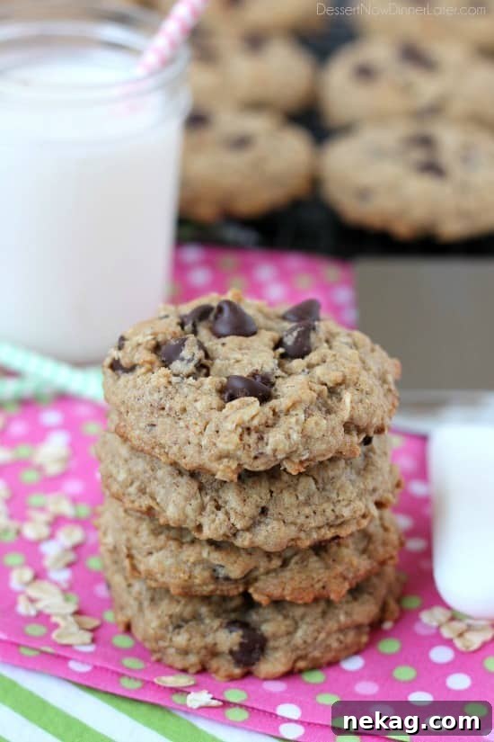 Freshly baked chocolate chip lactation cookies on a cooling rack, ready to boost milk supply for breastfeeding mothers.
