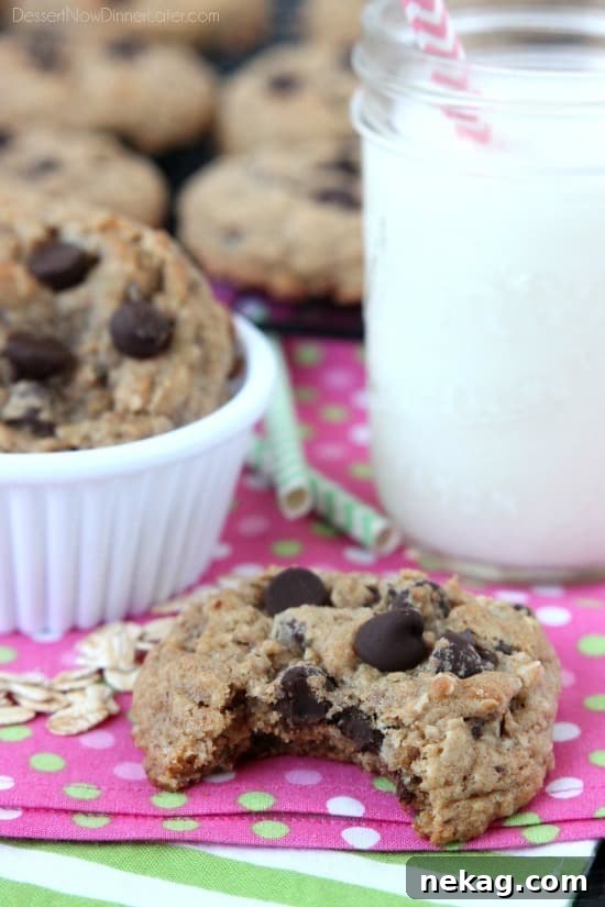 A selection of delicious lactation cookies, perfectly baked and ready for consumption.