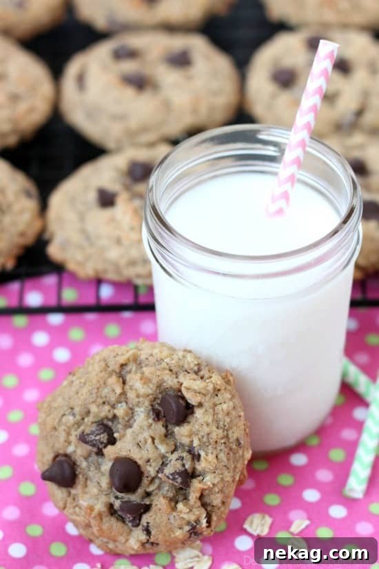 An appetizing close-up of a warm, chewy lactation cookie with melted chocolate chips, perfect for a breastfeeding treat.