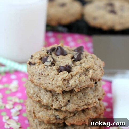 Delicious and effective lactation cookies.