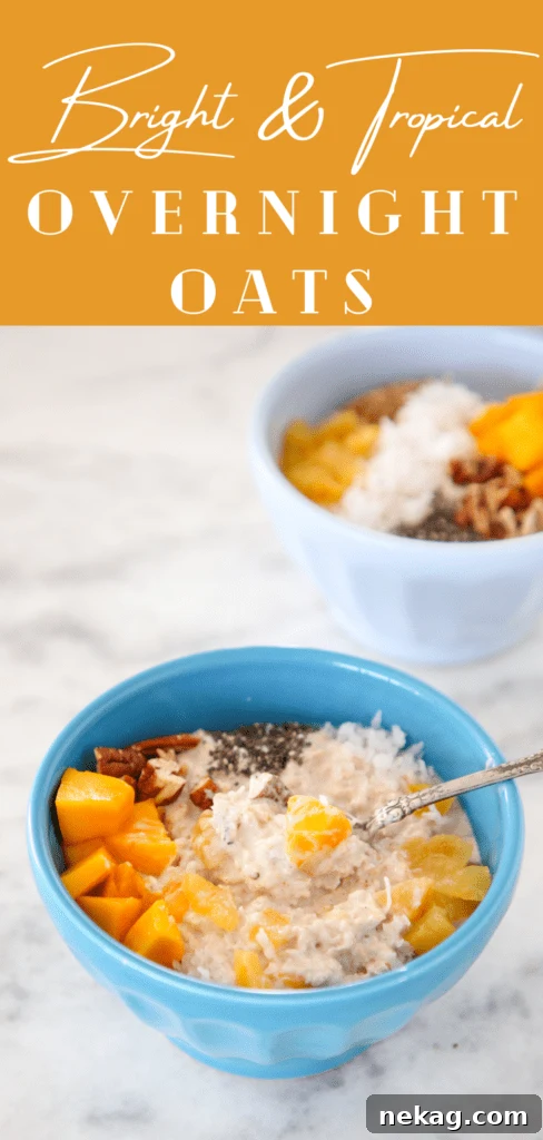 Island Oasis Overnight Oats 4 tropical overnight oats