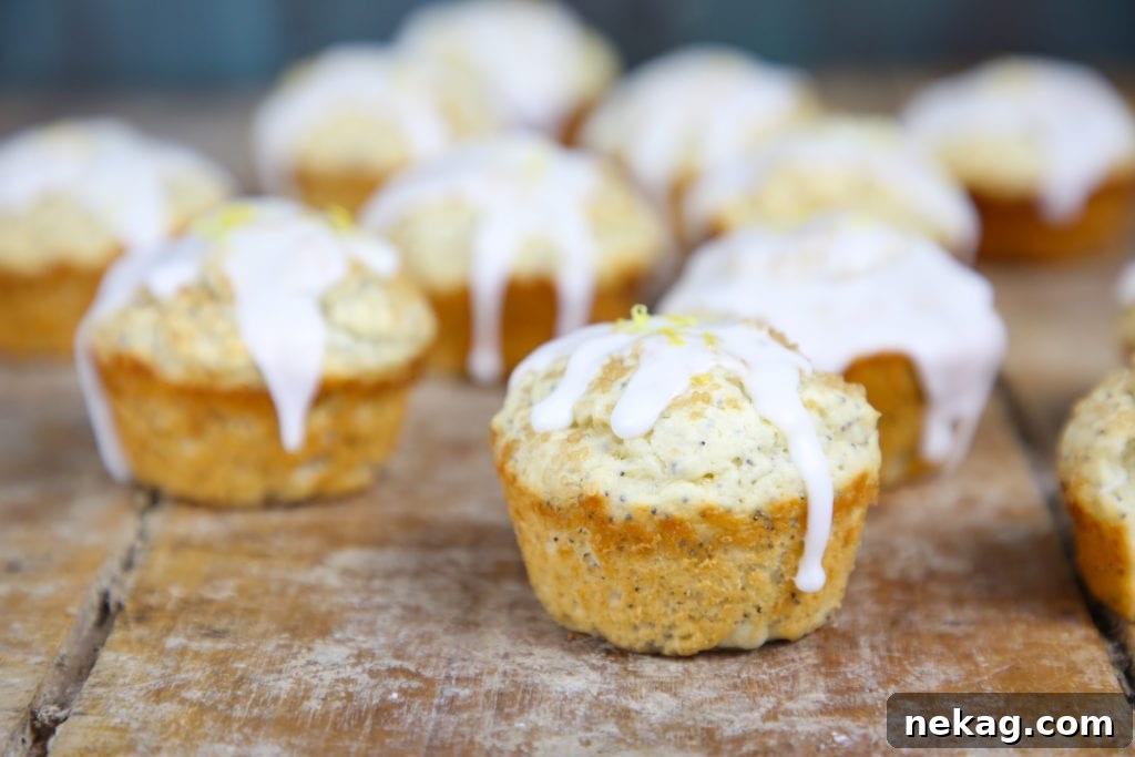 Multiple Lemon Poppyseed Muffins arranged on a cooling rack, showcasing their even bake and texture.