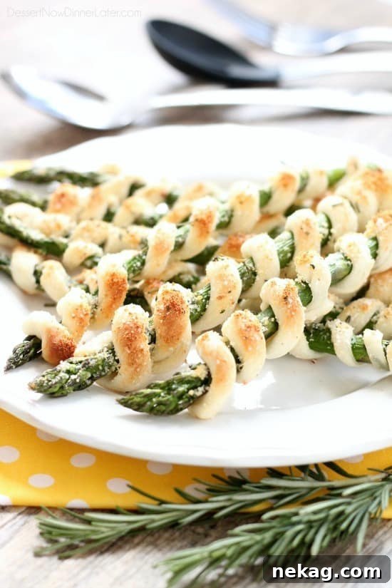 Asparagus Parcels 4 Delicious wrapped asparagus appetizers on a baking sheet, ready to serve.