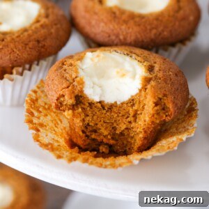 Featured image of two Pumpkin Cream Cheese Muffins, highlighting the rich pumpkin color and the creamy filling.