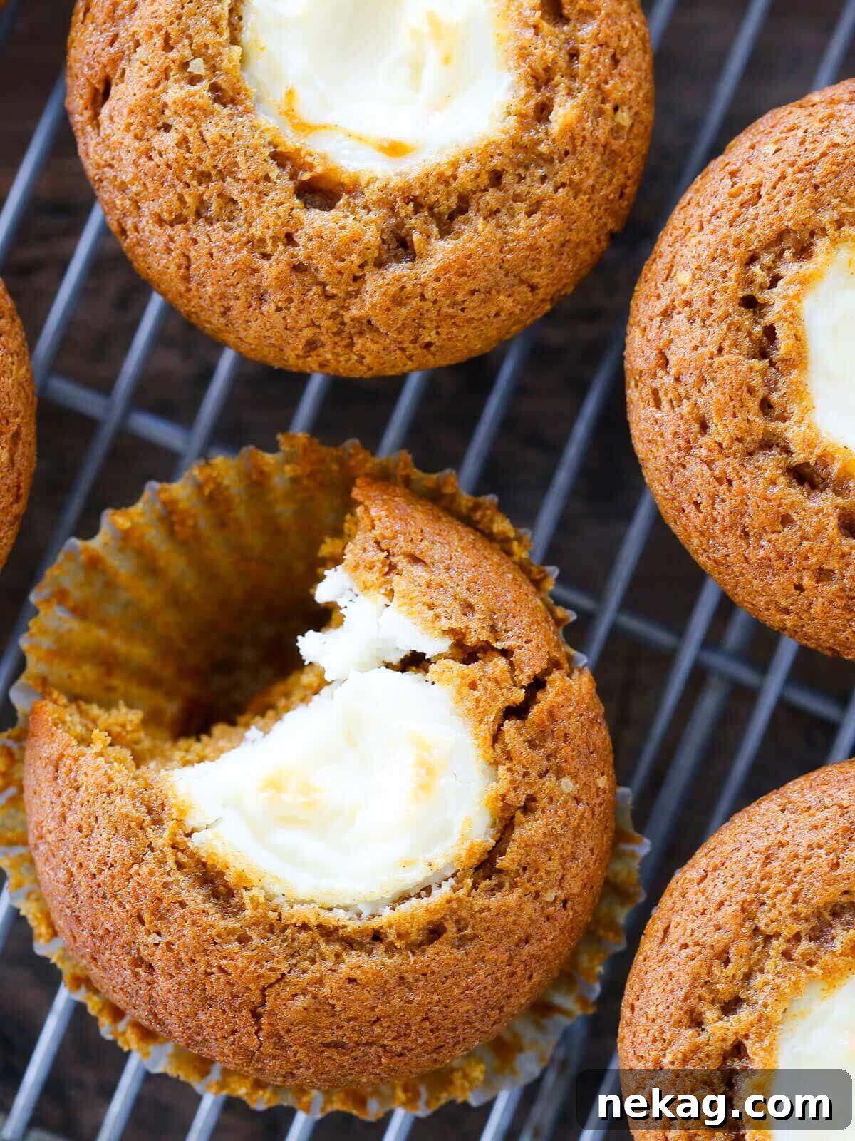 Pumpkin Cheesecake Swirl Muffins 5 A perfectly baked pumpkin cream cheese muffin with a bite taken out, showing the creamy filling inside.