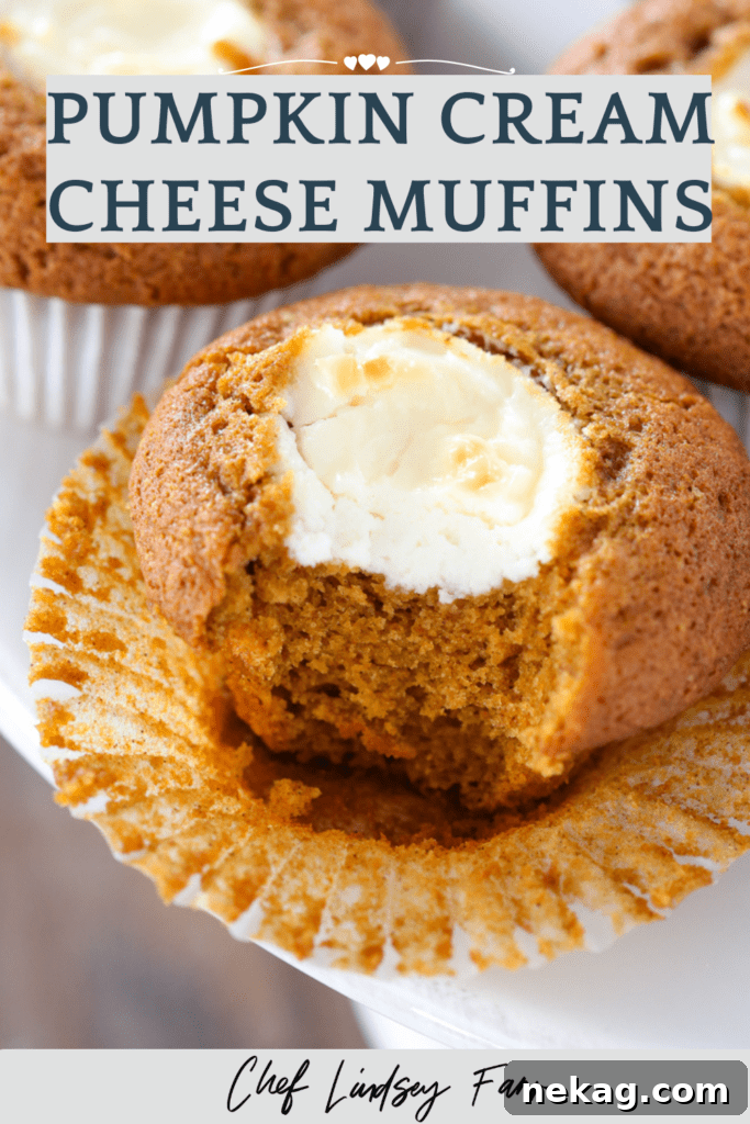 Pumpkin Cheesecake Swirl Muffins 7 Two Pumpkin Cream Cheese Muffins, one with a bite taken out, on a white plate.