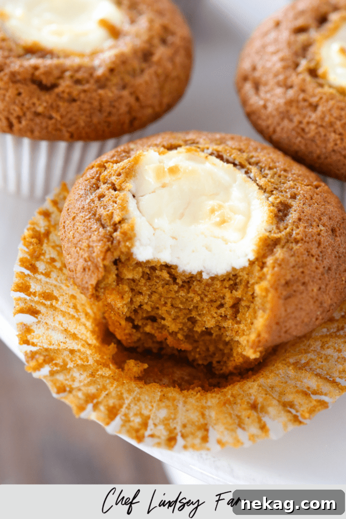 Pumpkin Cheesecake Swirl Muffins 8 A close-up of the creamy filling inside a pumpkin cream cheese muffin.