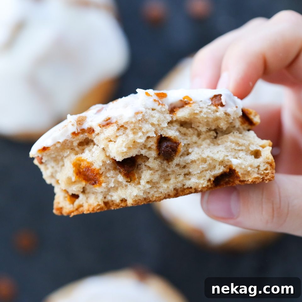 Sweet Cinnamon Swirl Scones 3 A close-up of a hand holding a cinnamon scone, revealing its tender crumb and delightful cinnamon chips embedded within, inviting a closer look.
