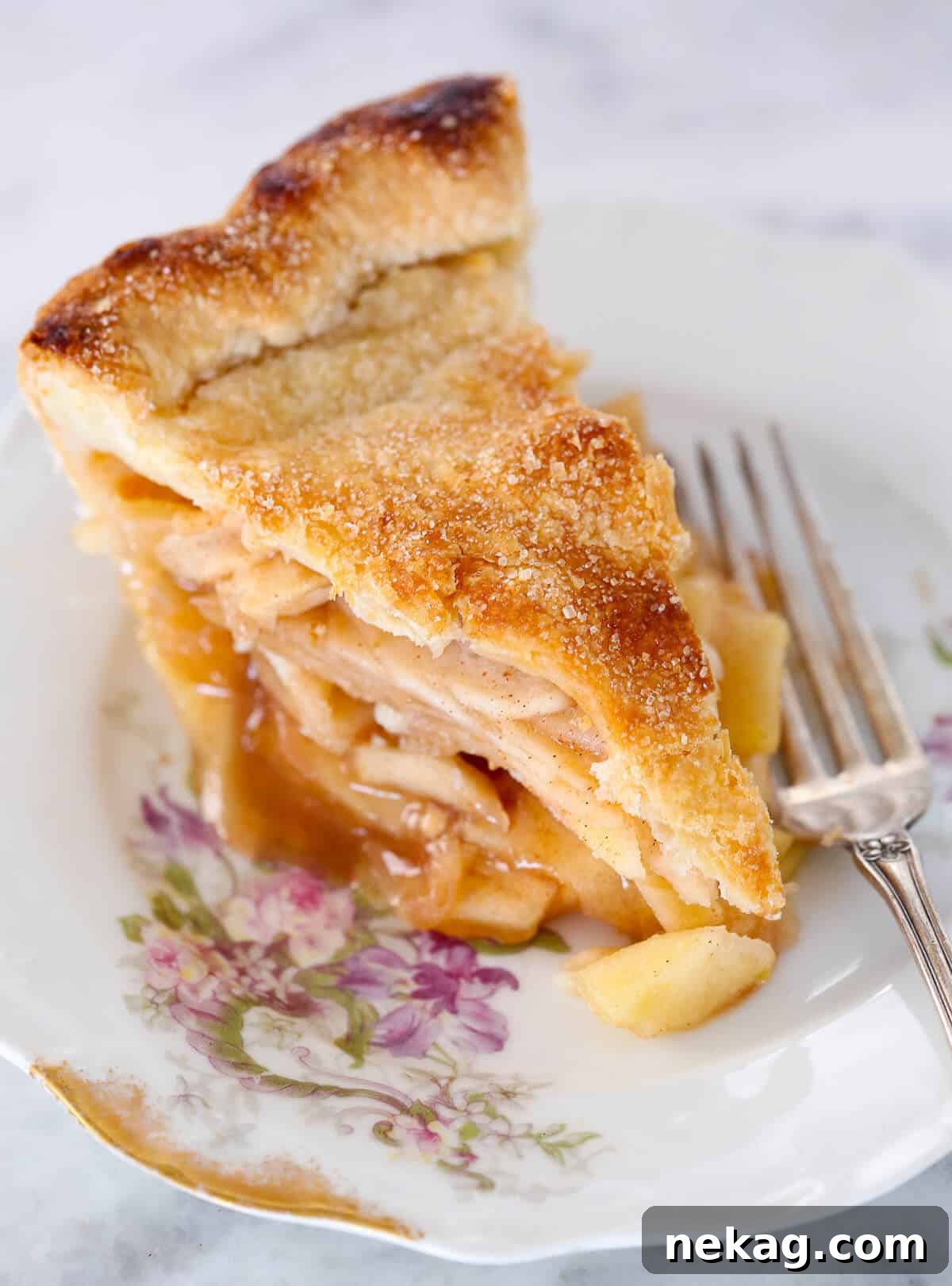 Thanksgiving Traditions A Recipe and Menu Collection 20 A charming slice of apple pie, featuring a delicate lattice top, adorned with apple pie spice on a beautiful flowery plate.