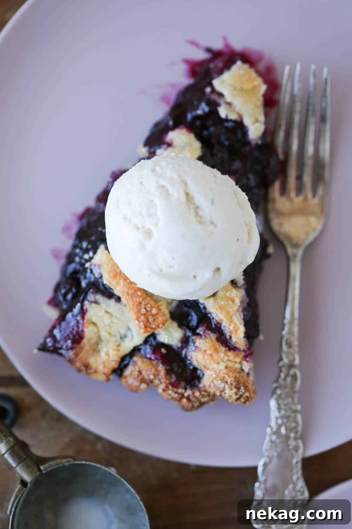 Thanksgiving Traditions A Recipe and Menu Collection 24 A vibrant slice of blueberry pie, a delightful addition to any Thanksgiving dessert spread, captured in a detailed shot.