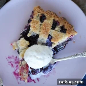 Thanksgiving Traditions A Recipe and Menu Collection 25 A mouthwatering slice of blueberry pie, adorned with a golden lattice top and a generous scoop of vanilla ice cream.