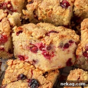 Thanksgiving Traditions A Recipe and Menu Collection 26 Close-up of slices of cranberry cake, revealing the crisp brown sugar streusel topping over the tender, cranberry-filled crumb.