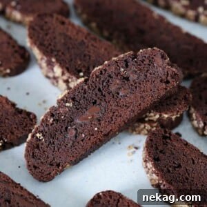 One piece of the best Double Chocolate Biscotti on a platter.