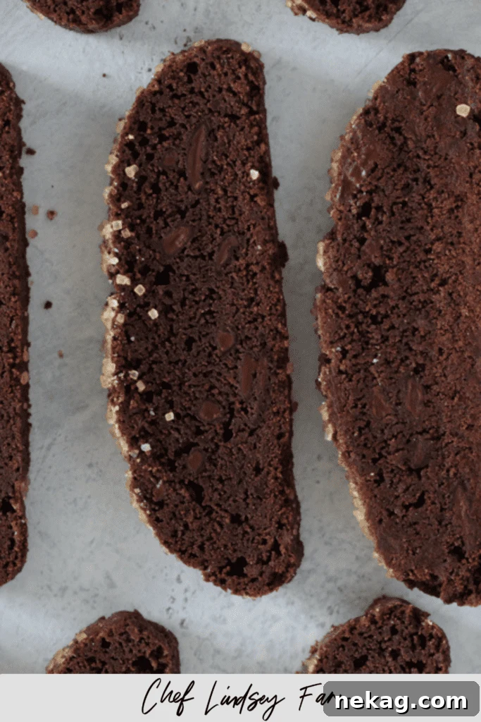 Decadent Chocolate Biscotti 7 Another complementary photo of chocolate biscotti