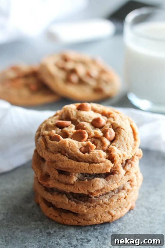Golden Butterscotch Delights 2 Irresistibly soft and chewy Butterscotch Cookies, made with a secret pudding mix ingredient for enhanced flavor and texture.