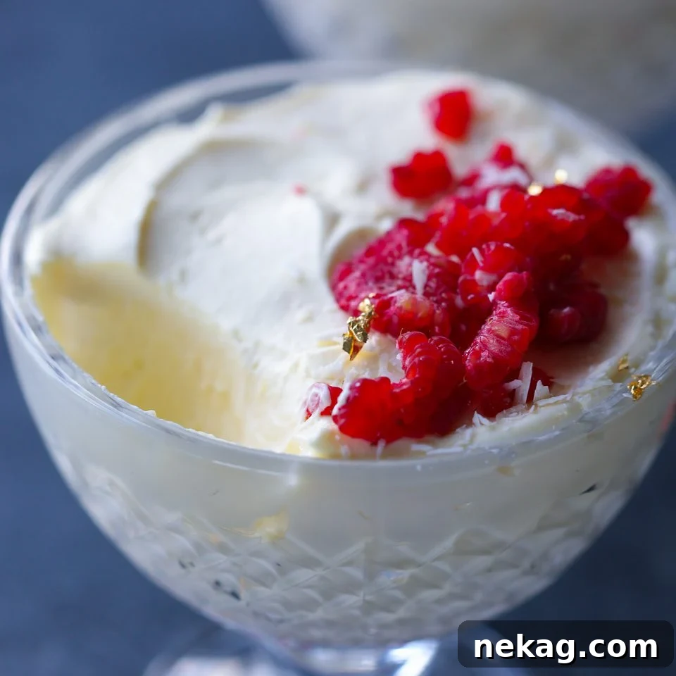White Chocolate Raspberry Mousse garnished with a single fresh raspberry and a delicate chocolate curl.