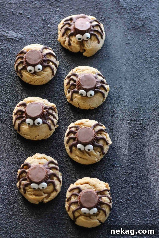 Close-up of a finished Spider Cookie with candy eyes