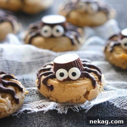 Finished Halloween Spider Cookies on a cooling rack