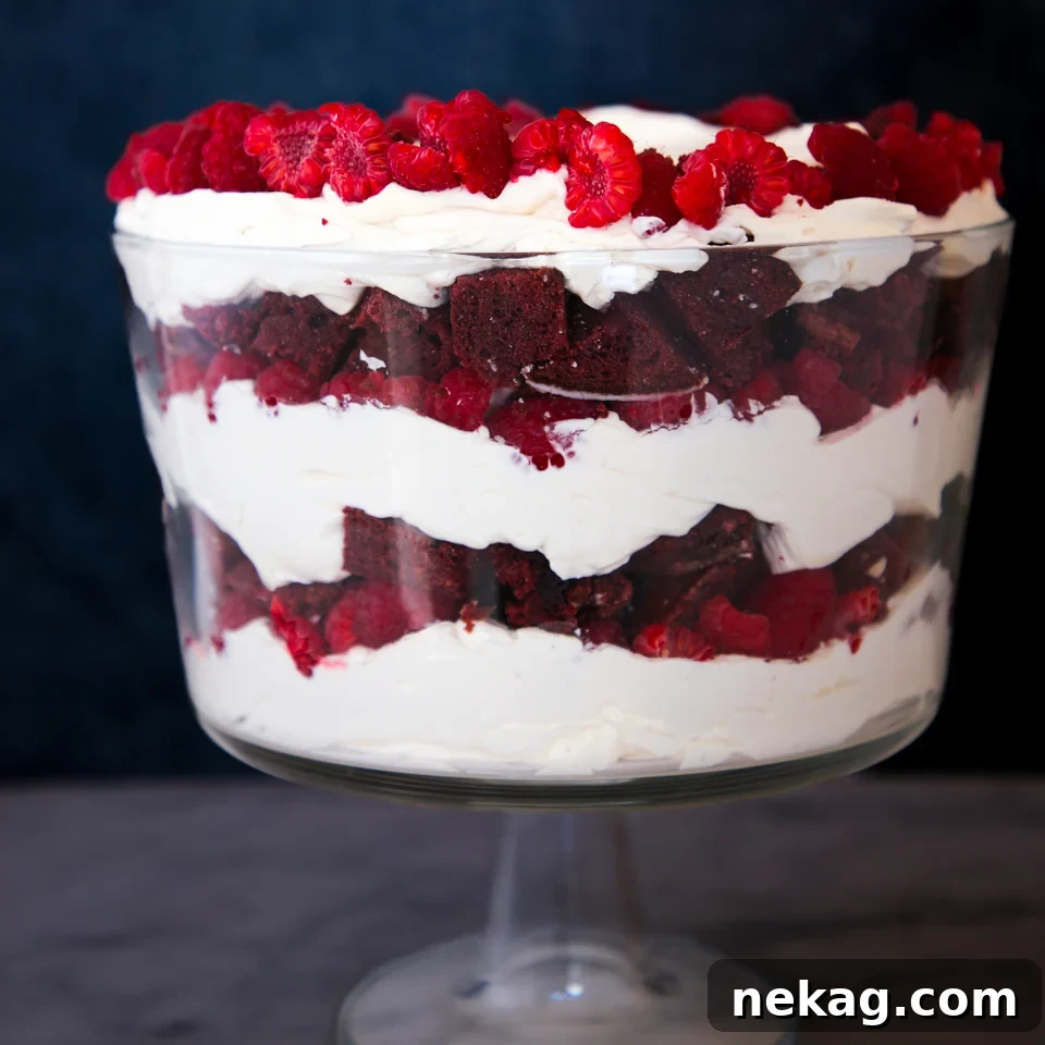 Ruby Raspberry Velvet Trifle 2 Red Velvet Raspberry Trifle with luscious layers of cake, raspberries, and cream