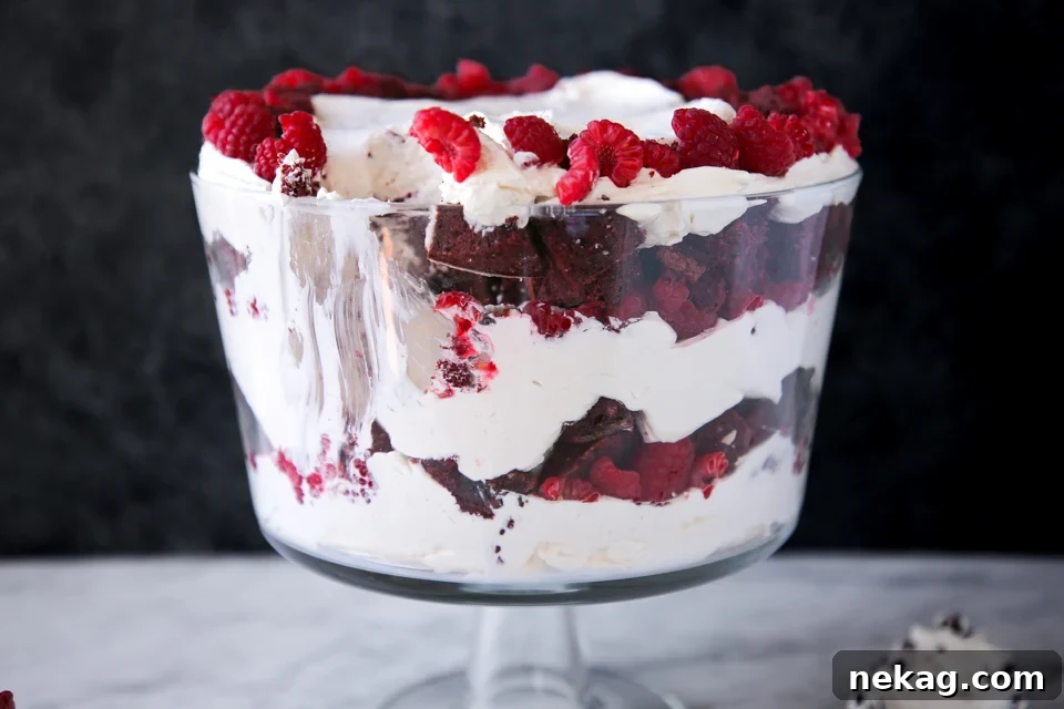 Ruby Raspberry Velvet Trifle 7 Elegant Red Velvet Raspberry Trifle dessert