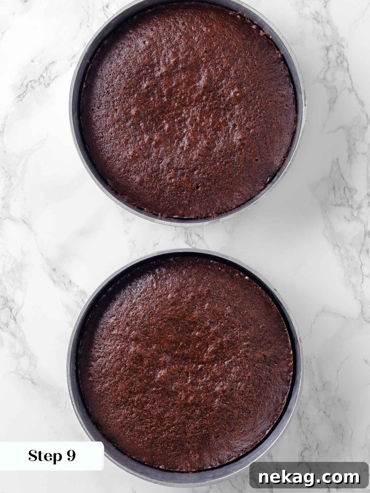 A pair of beautifully baked, moist chocolate cake layers cooling on a wire rack, fresh from the oven and ready for frosting.