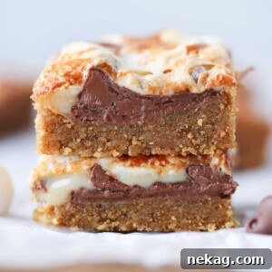 Close-up of the interior of an Ooey Gooey S'mores Bar