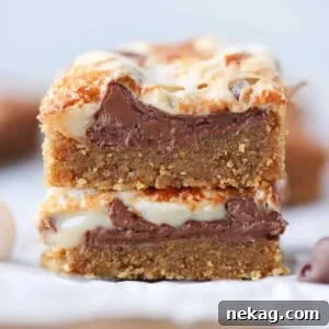 Ooey Gooey Smores Bars interior detail