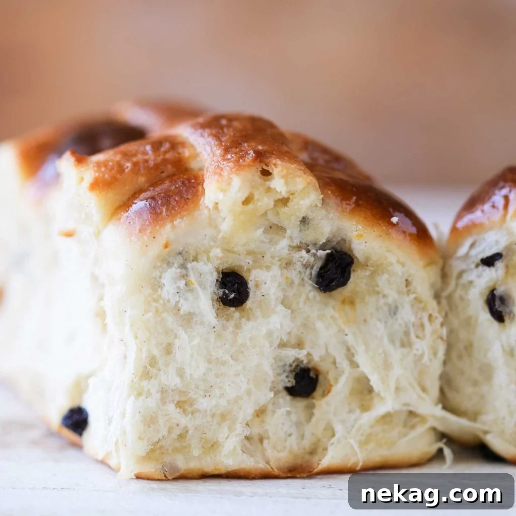 Tangy Sourdough Hot Cross Buns 5 Close-up of the fluffy texture inside a freshly baked Hot Crossed Bun.