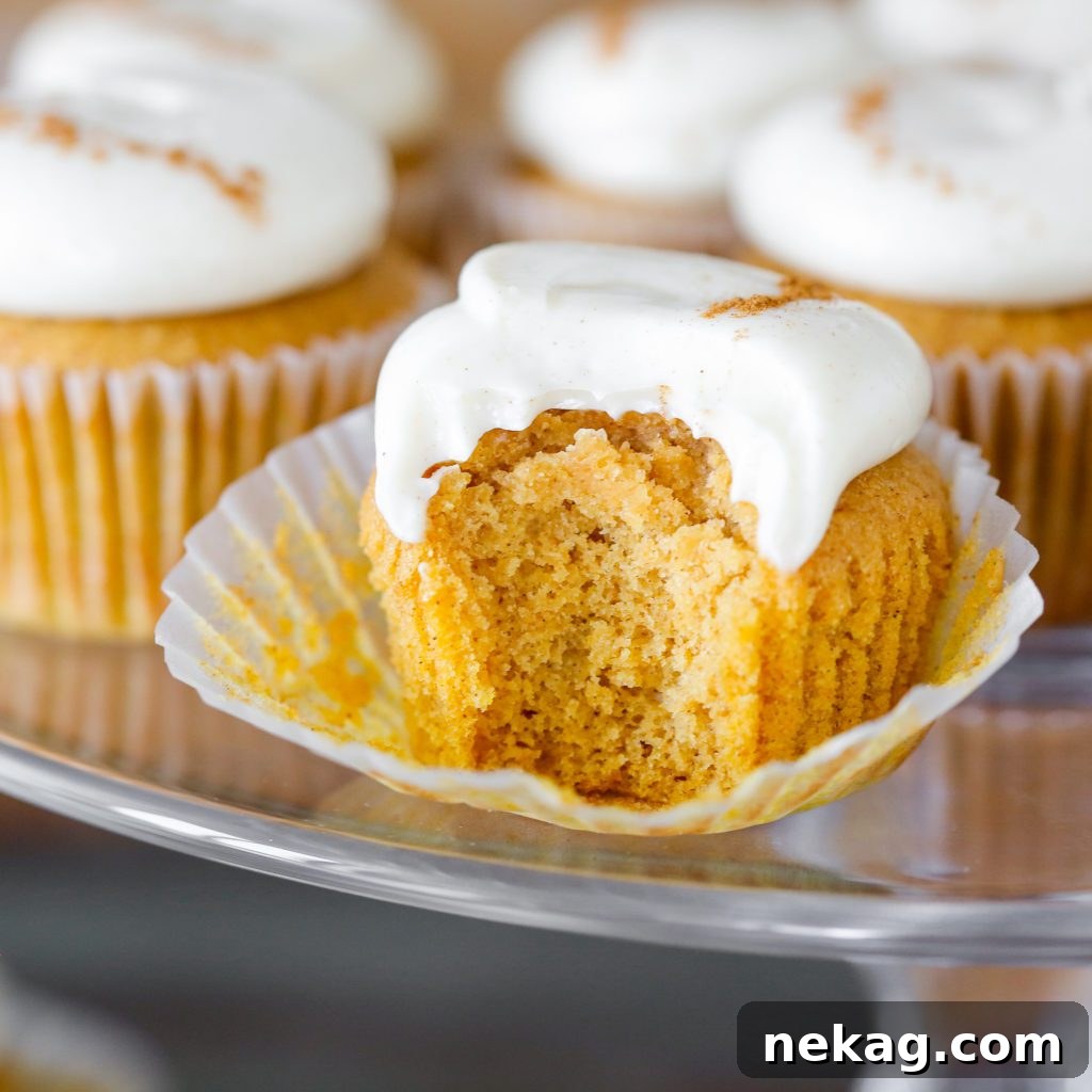Decadent Pumpkin Cream Cheese Cupcakes 2 Delicious Pumpkin Spice Cupcakes topped with a swirl of Maple Cream Cheese Buttercream, ready to be enjoyed.