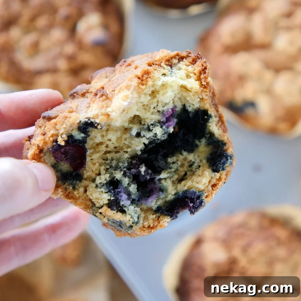 Jumbo Blueberry Muffins
