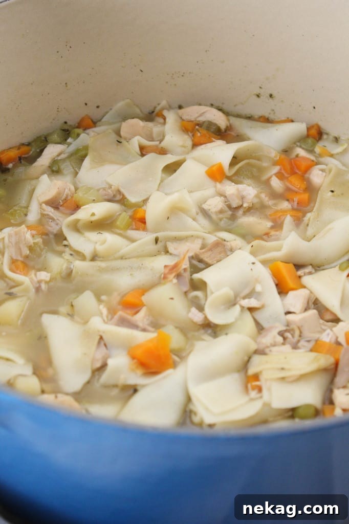 A bowl of fresh Homemade Chicken Noodle Soup