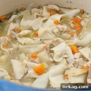 Homemade Chicken Noodle Soup