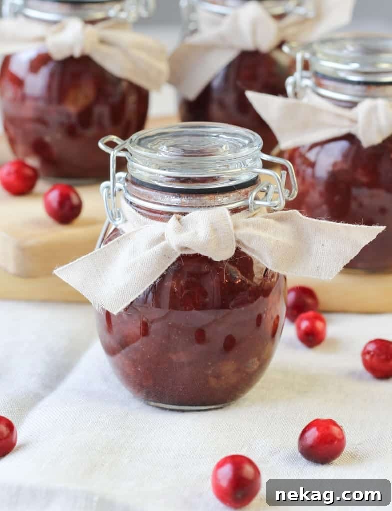 Festive Cranberry Relish 7 A beautifully composed shot of Nana's Cranberry Chutney, perfect for showcasing its delicious appeal.
