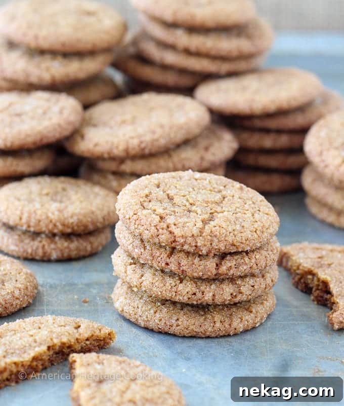 A single Old Fashioned Gingersnap, perfectly rounded and coated in sparkling sugar, rests on a cooling rack, emphasizing its simple beauty and delicious promise.