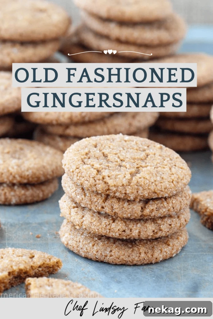 A close-up shot of a single Old Fashioned Gingersnap cookie, showing its characteristic cracks and sugar coating.