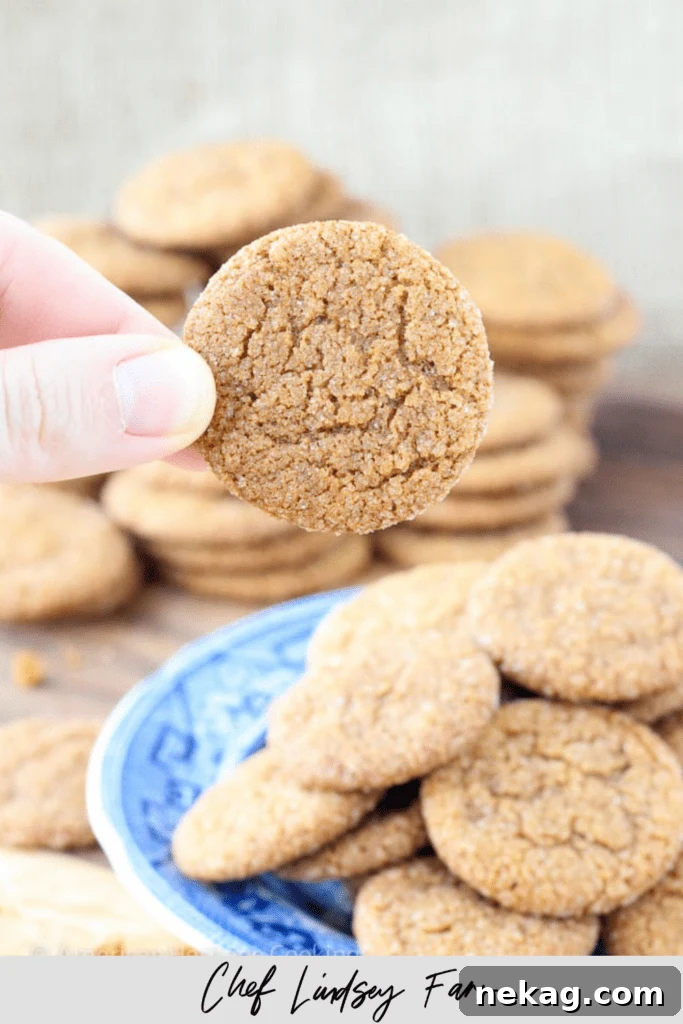 Several Old Fashioned Gingersnap cookies casually scattered on a flat surface, illustrating their inviting and rustic appeal.