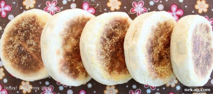 Nooks and Crannies English Muffins 5 Close-up of golden brown homemade English Muffins