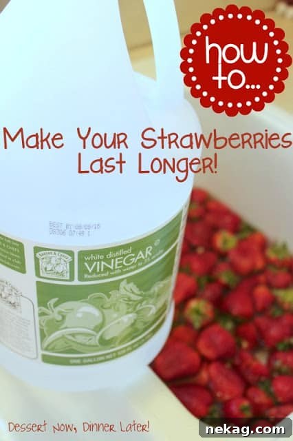 Fresh strawberries in a basket, ready for preservation