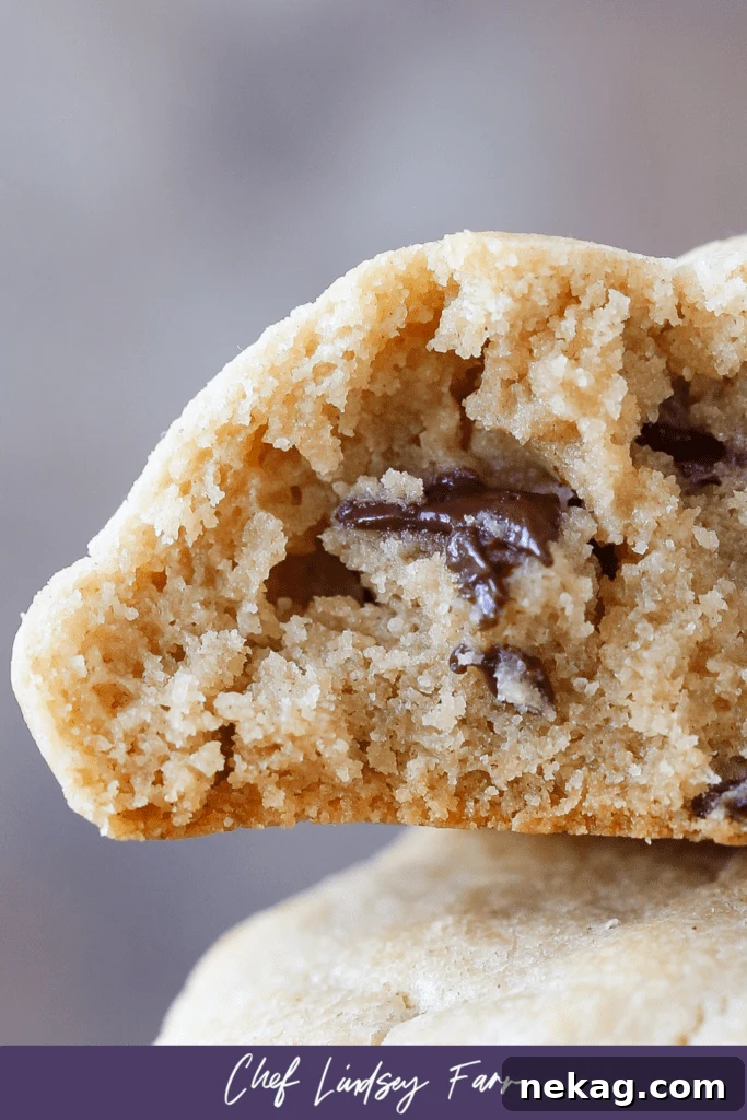 Nutty Chocolate Chip Indulgence 7 A detailed section of the inside of a peanut butter chocolate chip cookie, highlighting a rich, gooey chocolate chip nestled in the chewy dough.
