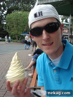 My Disney Magic Revealed 12 Delicious Dole Pineapple Float, showing pineapple soft serve immersed in juice