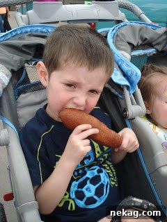 My Disney Magic Revealed 14 Large, perfectly golden-brown corn dog on a stick, served with a side of chips