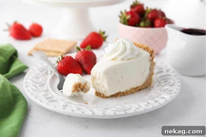Oven-Free Cheesecake Delight 11 Slice of no bake cheesecake on a plate with a fork full.