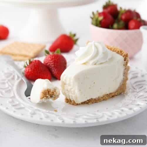 Oven-Free Cheesecake Delight 12 Slice of no bake cheesecake on a plate with a fork full.