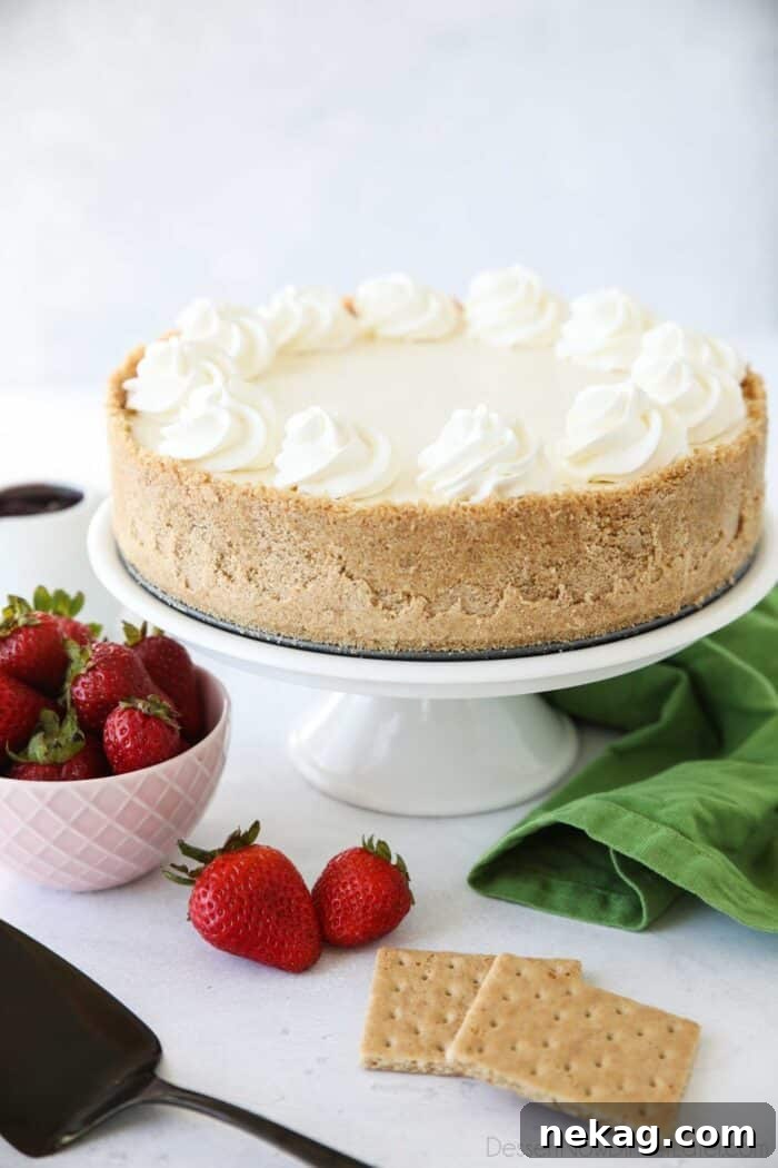 Oven-Free Cheesecake Delight 9 Whole no bake cheesecake on platter.