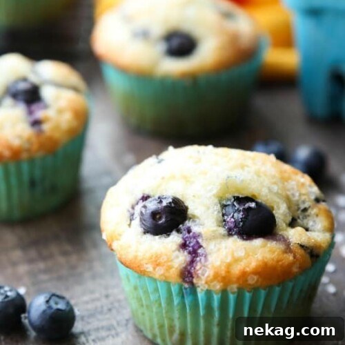 Fluffy homemade Blueberry Muffins with a crunchy sugar topping and juicy berries throughout.