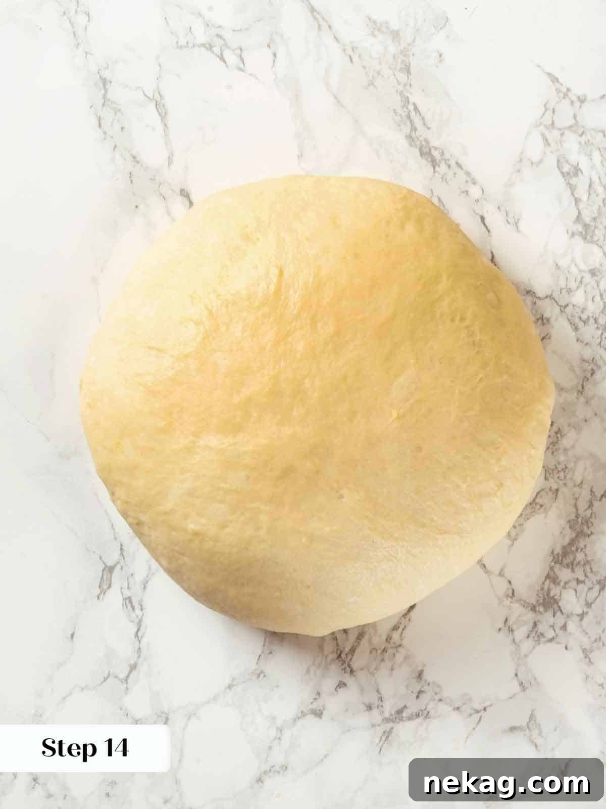 Tender Potato Loaf 14 A round ball of potato bread dough resting before final shaping.