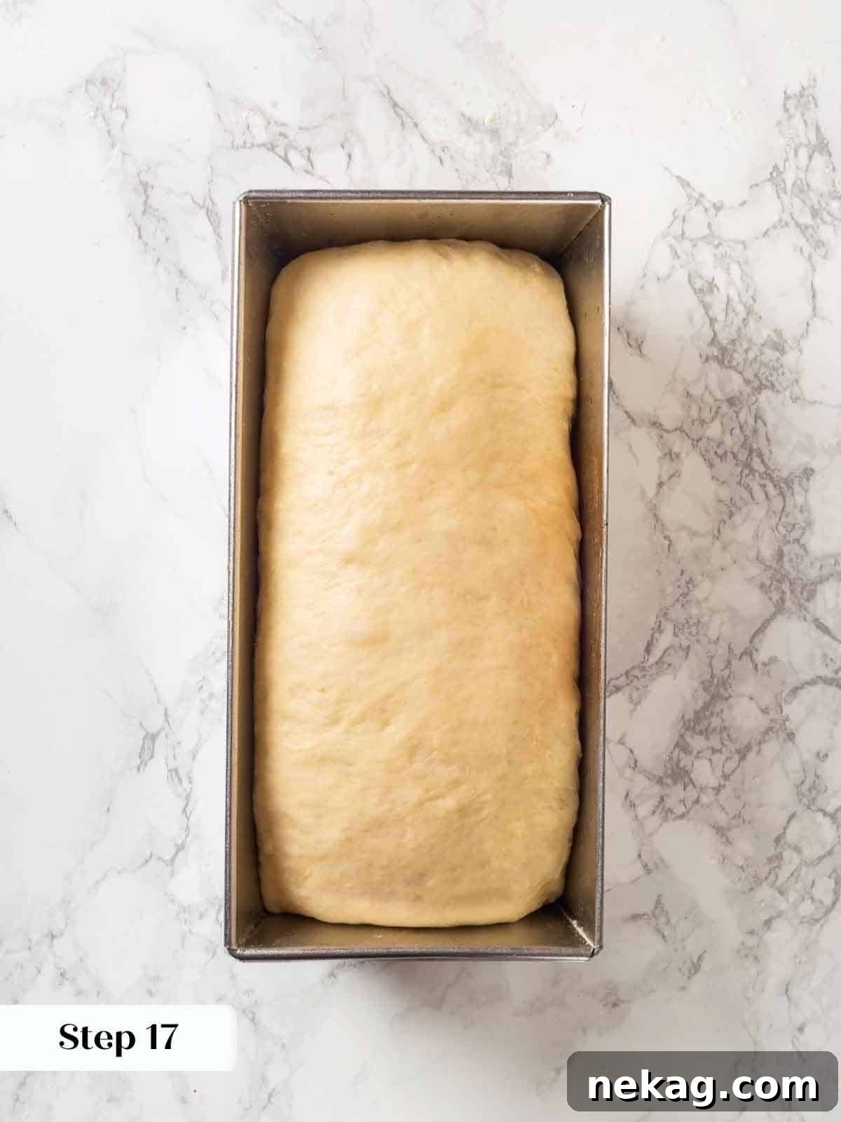 Tender Potato Loaf 19 A loaf pan with freshly shaped dough, before rising and proofing.