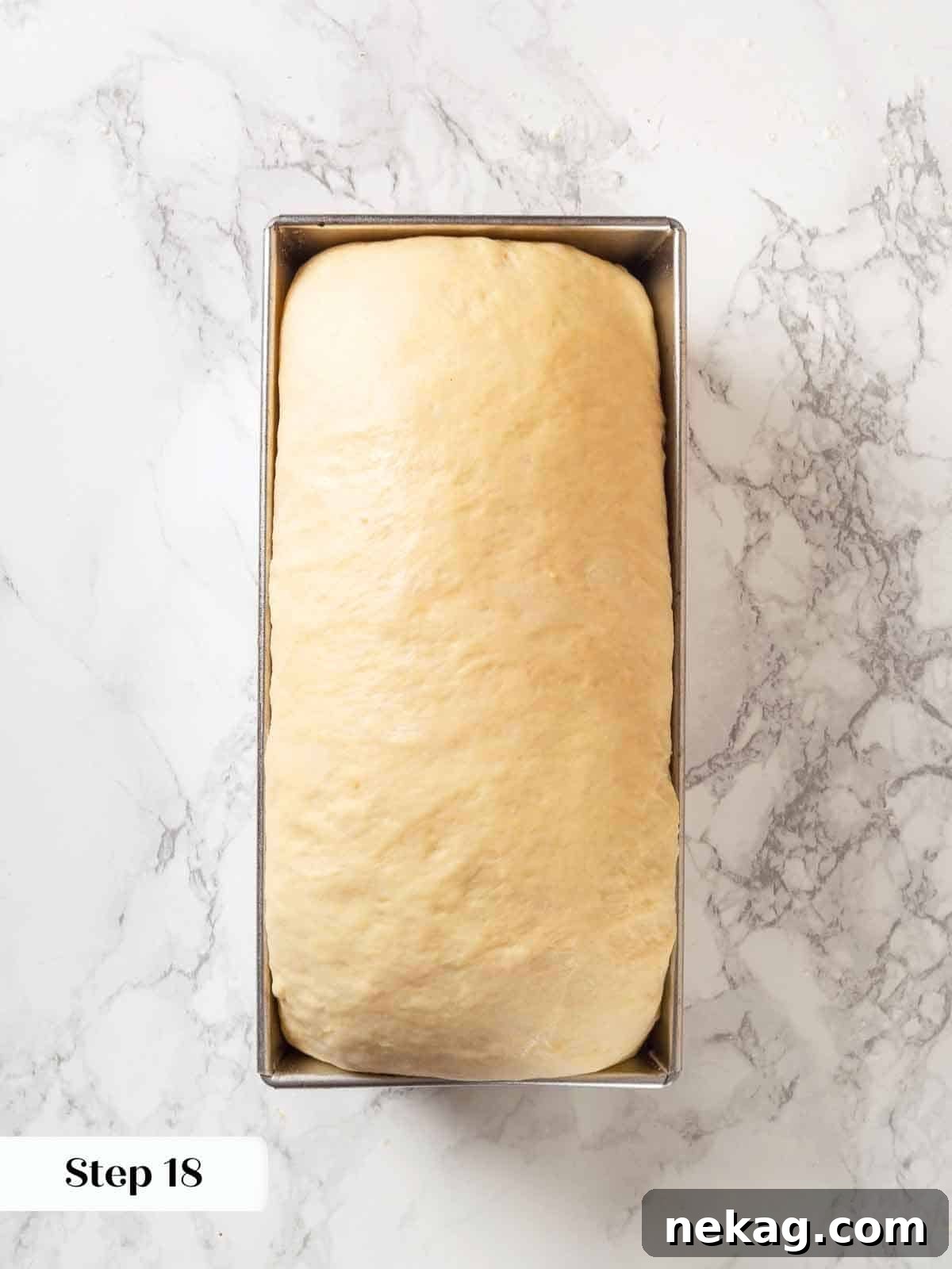 Tender Potato Loaf 20 Proofed potato bread dough in a loaf pan, risen and ready to bake.